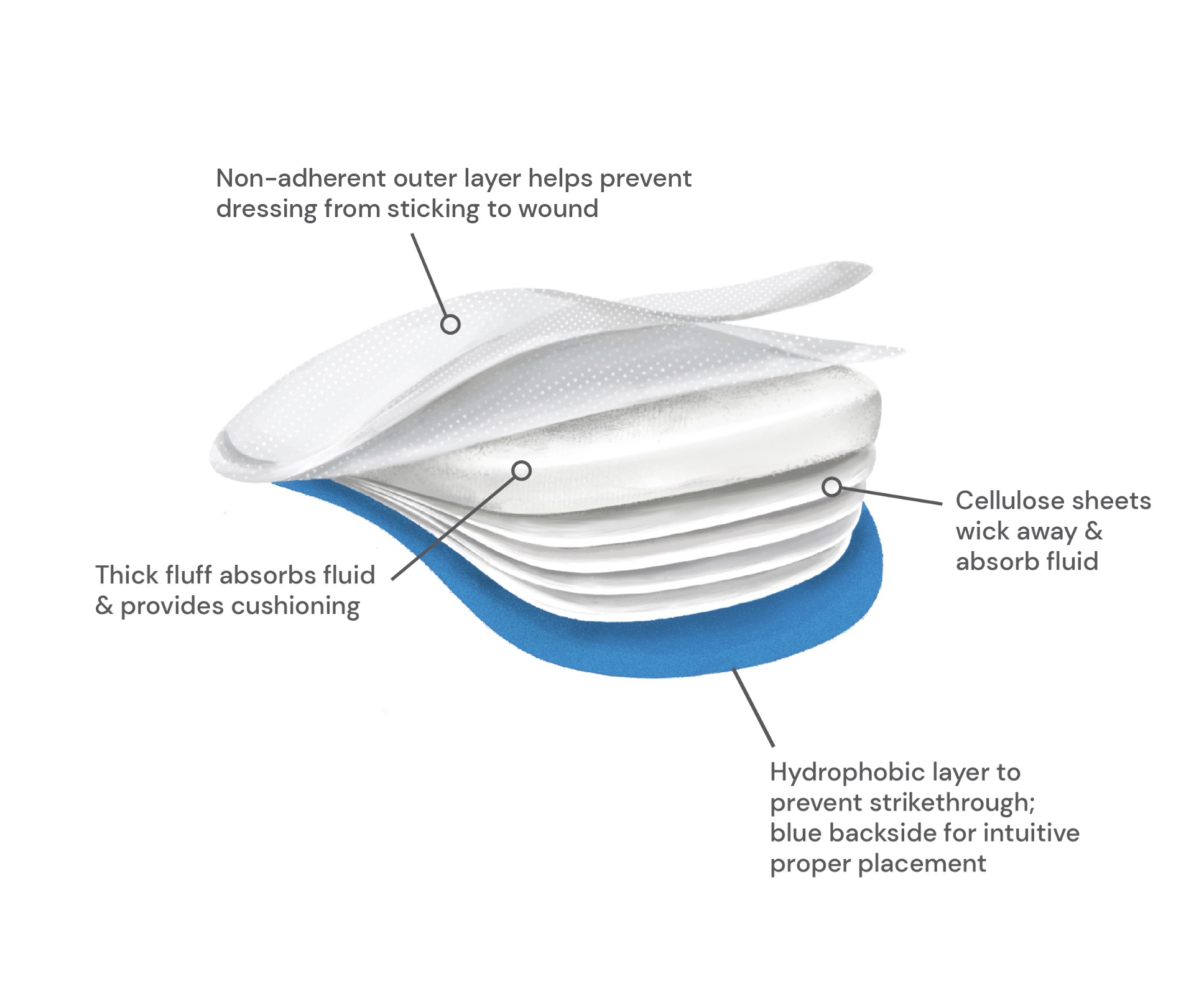 Premium Care Sterile Split Sponge, 4