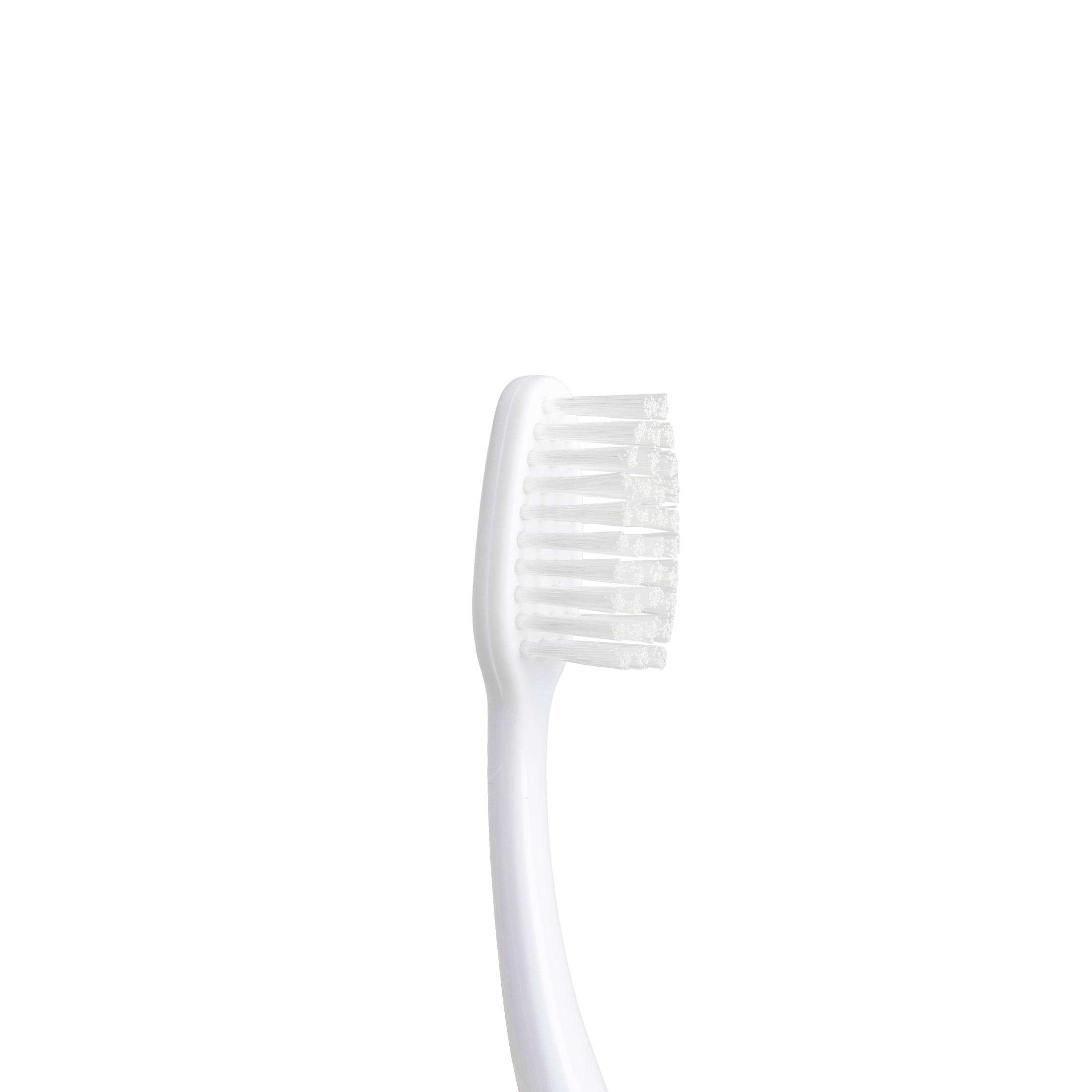 Premium Adult Toothbrush, Extra Soft Bristles, Assorted